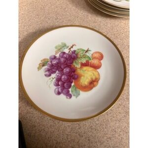 Schonwald Germany Fruit Porcelain Dessert Plates Gold Rim Set of 6 Vintage MCM